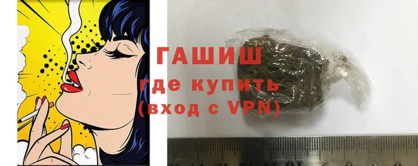 хмурый Арсеньев