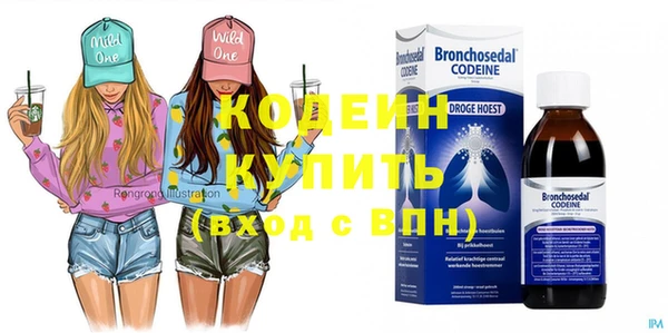 хмурый Арсеньев
