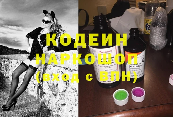 хмурый Арсеньев