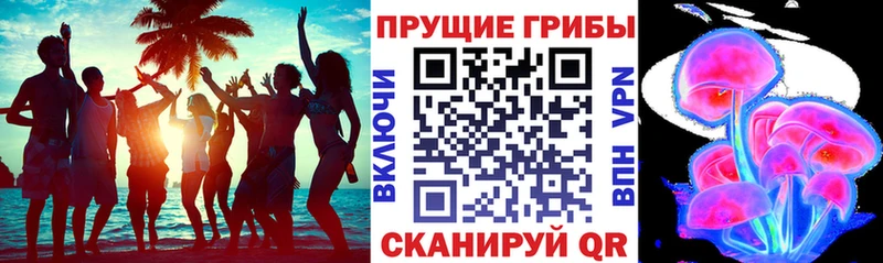 mega сайт  Похвистнево  Псилоцибиновые грибы Magic Shrooms 